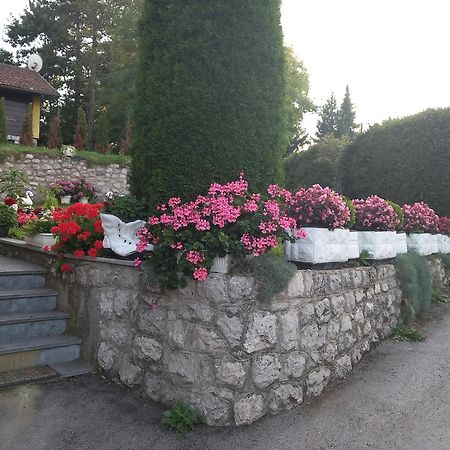 Apartment Vihor Zlatibor Esterno foto