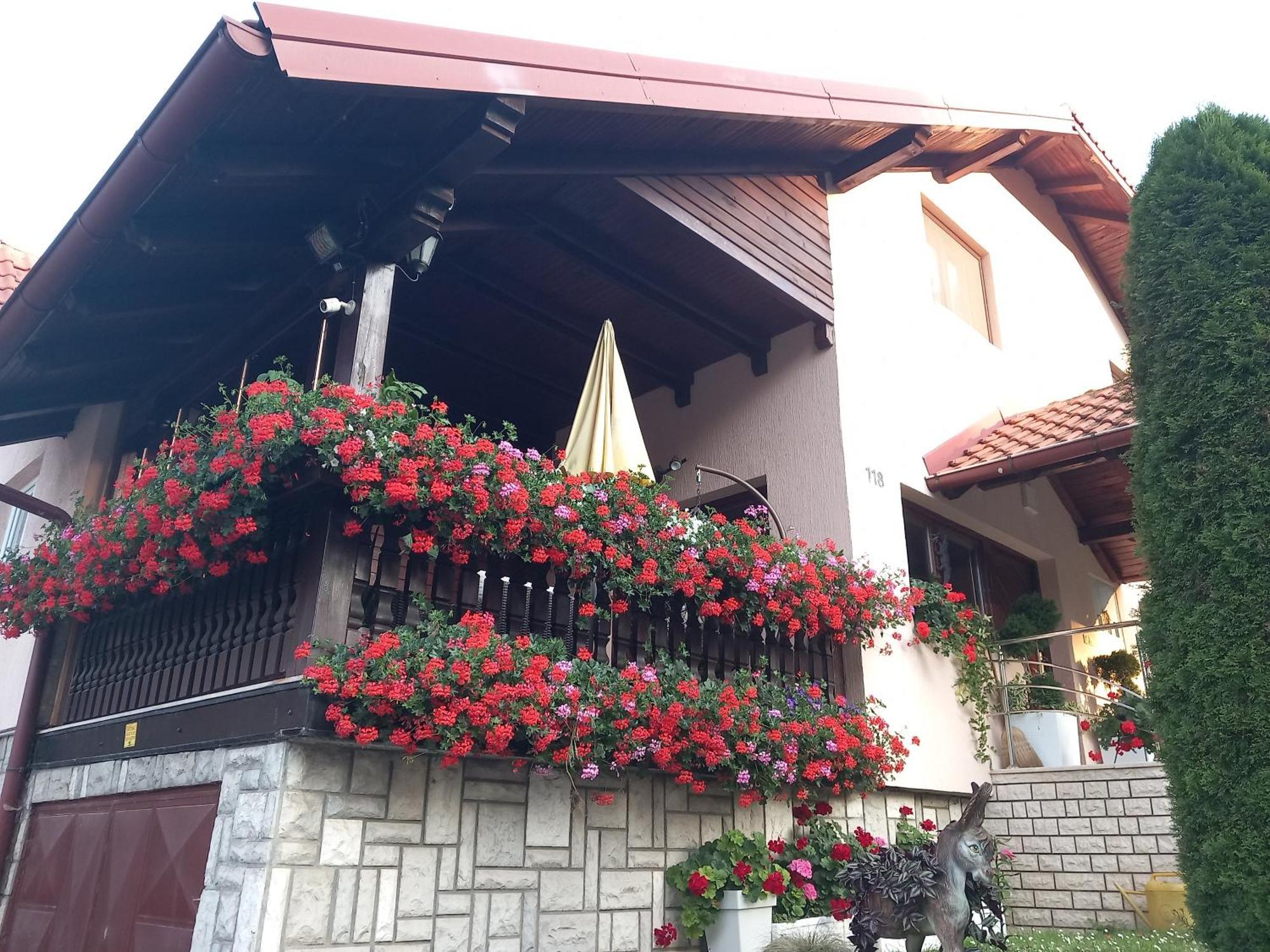 Apartment Vihor Zlatibor Esterno foto